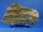 Gunflint Stromatolites