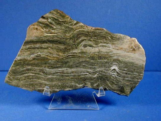 Gunflint Proterozoic Stromatolites from Canada